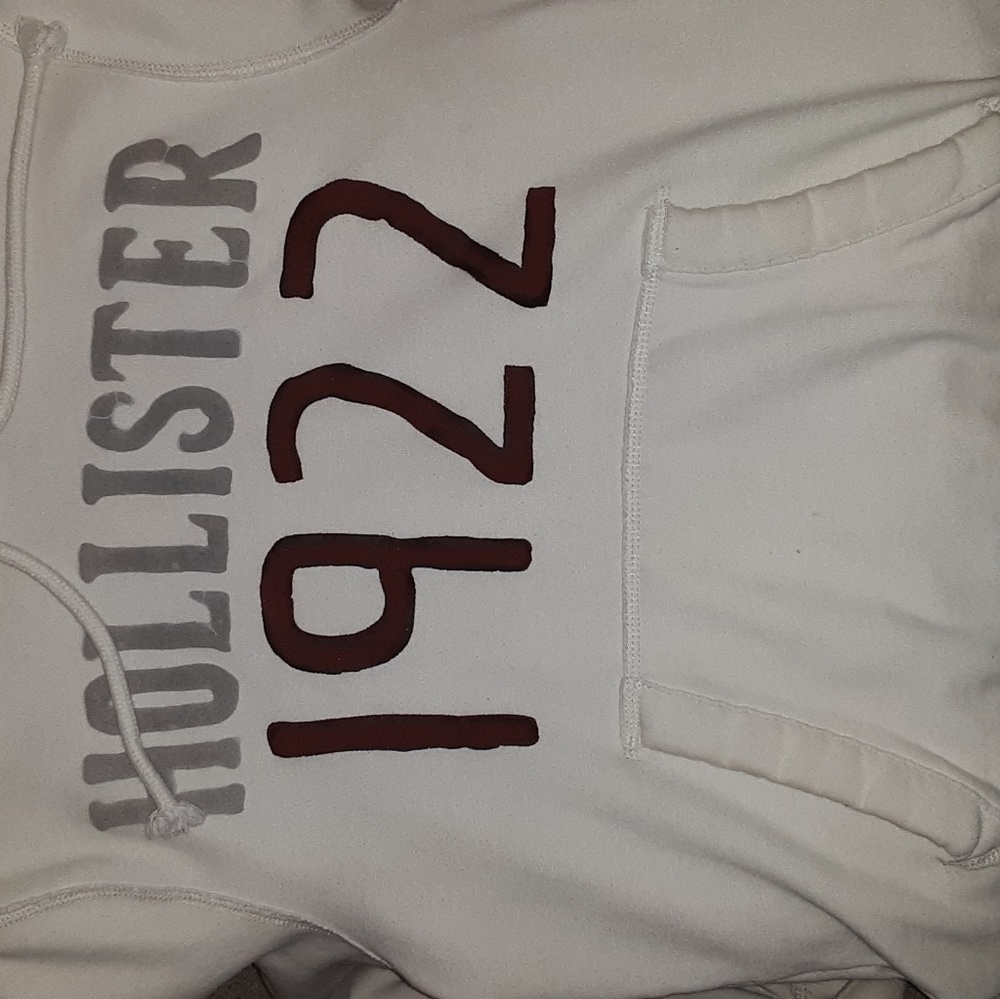 HOLLISTER hoodie
